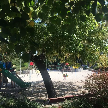 Rosmarinus Daire Peçuy