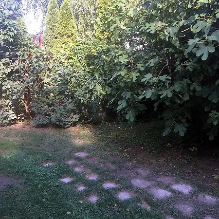 Apartment Rosmarinus *